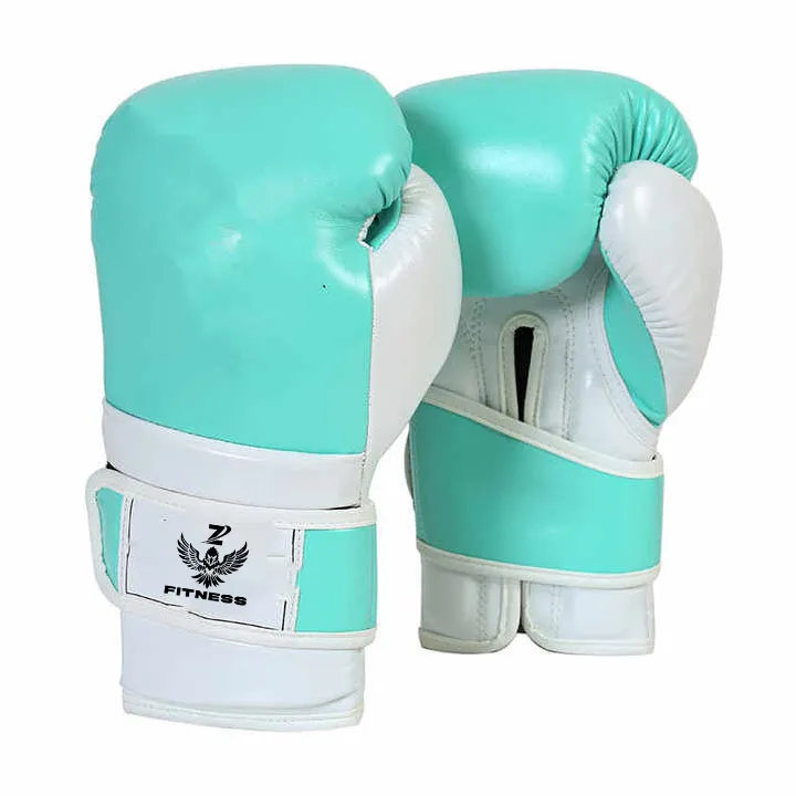 Premium Boxing Gloves